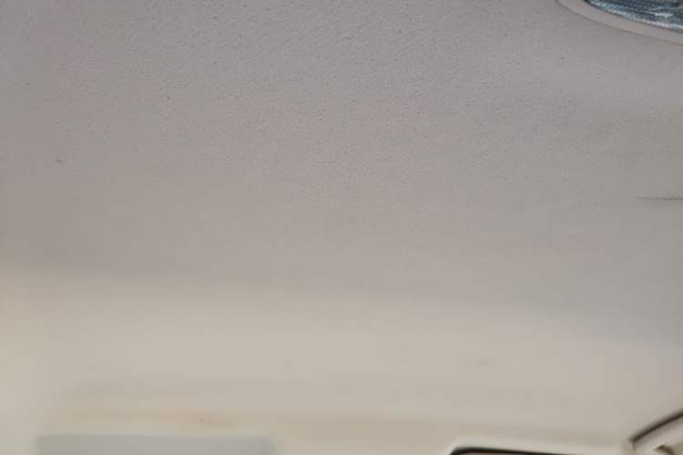 Used Ford Escort 2015 1.5L Automatic Comfort Edition Headliner
