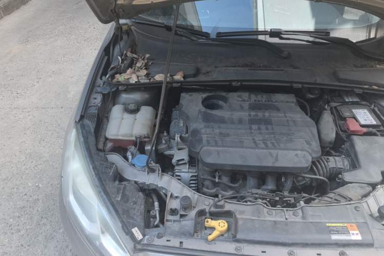 Used Ford Escort 2015 1.5L Automatic Fashion Model Engine Bay Right