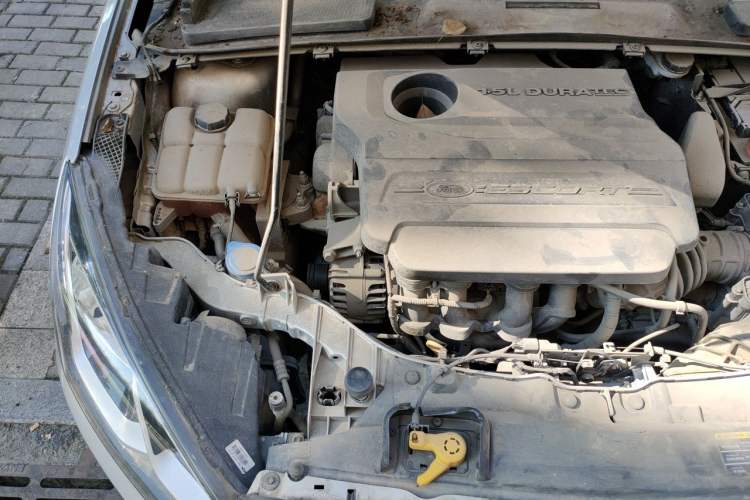 Used Ford Escort 2015 1.5L Automatic Fashion Model Engine Bay Right