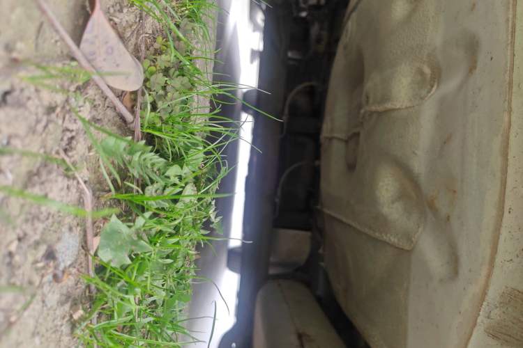Used Ford Escort 2015 1.5L Automatic Fashion Model Chassis Rear