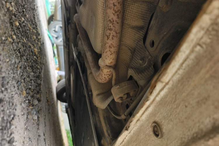 Used Ford Escort 2015 1.5L Manual Comfort Model Chassis Rear Right