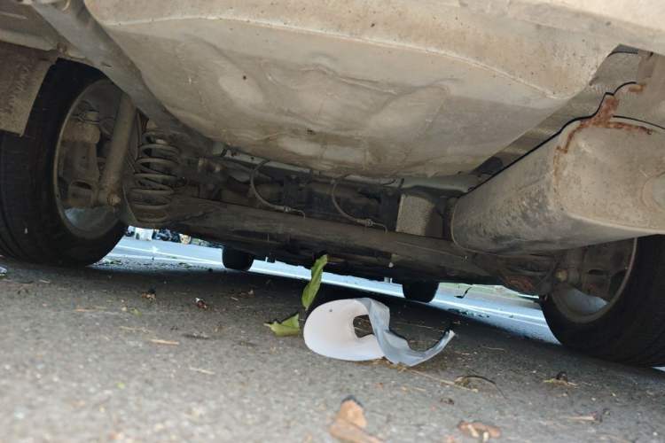 Used Ford Escort 2015 1.5L Manual Fashion Edition Chassis Rear