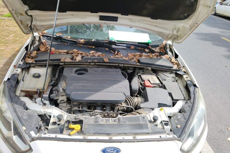 Used Ford Escort 2015 1.5L Automatic Fashion Model Engine Bay