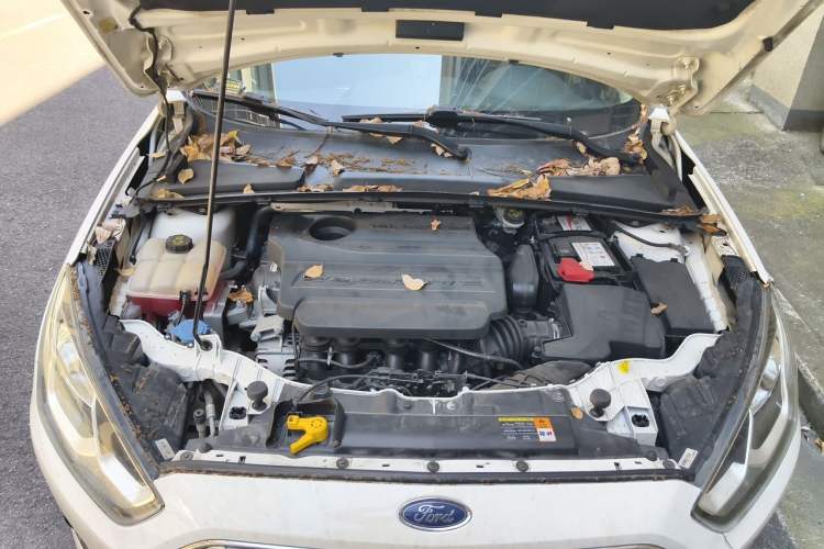 Used Ford Escort 2015 1.5L Automatic Fashion Model Engine Bay