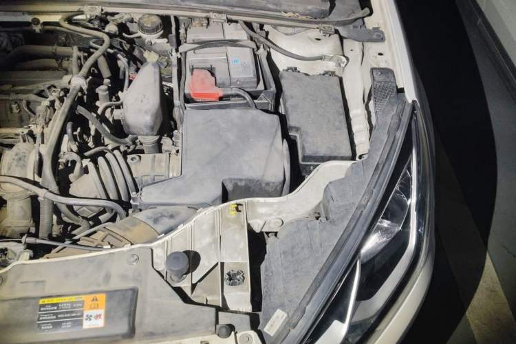 Used Ford Escort 2015 1.5L Automatic Fashion Model Engine Bay Left