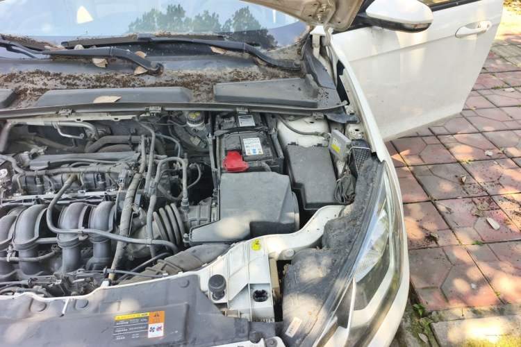 Used Ford Escort 2015 1.5L Manual Comfort Model Engine Bay Left