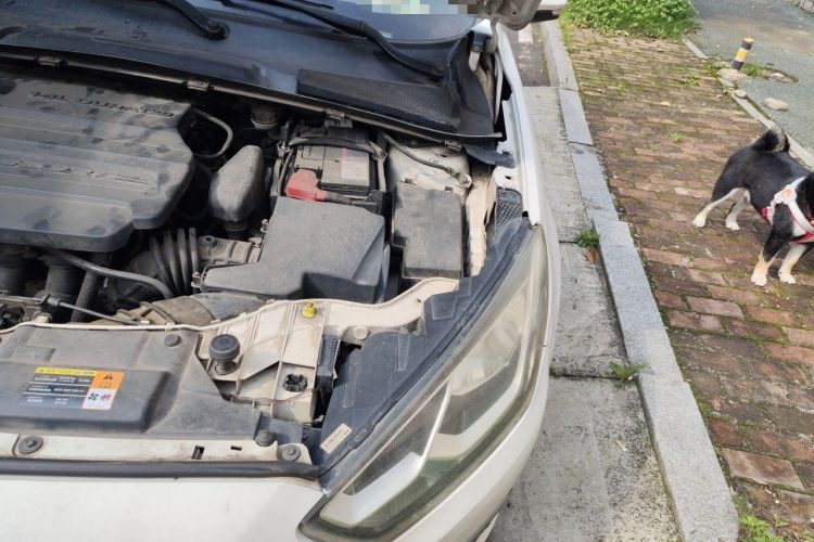 Used Ford Escort 2015 1.5L Automatic Fashion Model Engine Bay Left