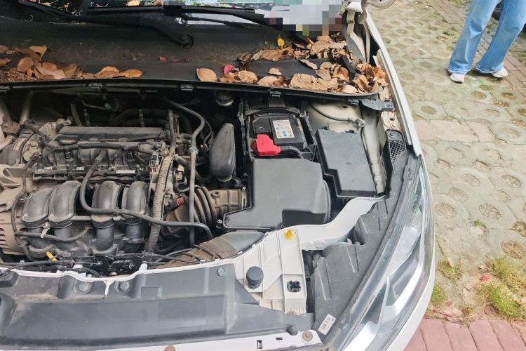 Used Ford Escort 2015 1.5L Automatic Fashion Model Engine Bay Left