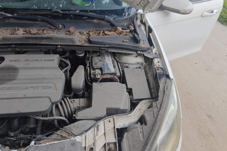 Used Ford Escort 2015 1.5L Automatic Fashion Model Engine Bay Left