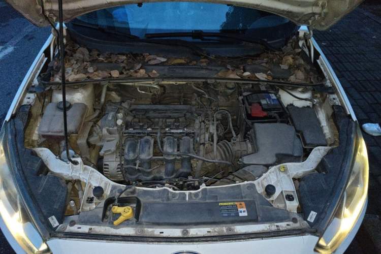 Used Ford Escort 2015 1.5L Manual Fashion Edition Engine Bay