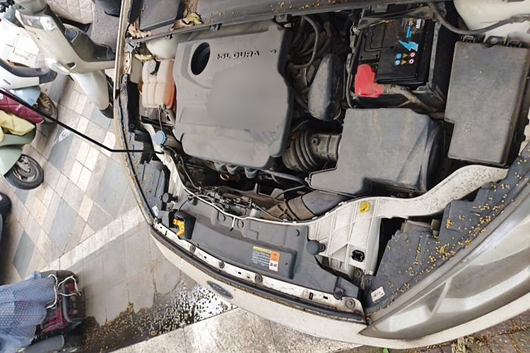 Used Ford Escort 2015 1.5L Automatic Fashion Model Engine Bay