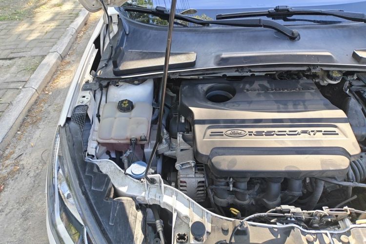 Used Ford Escort 2015 1.5L Automatic Fashion Model Engine Bay Right