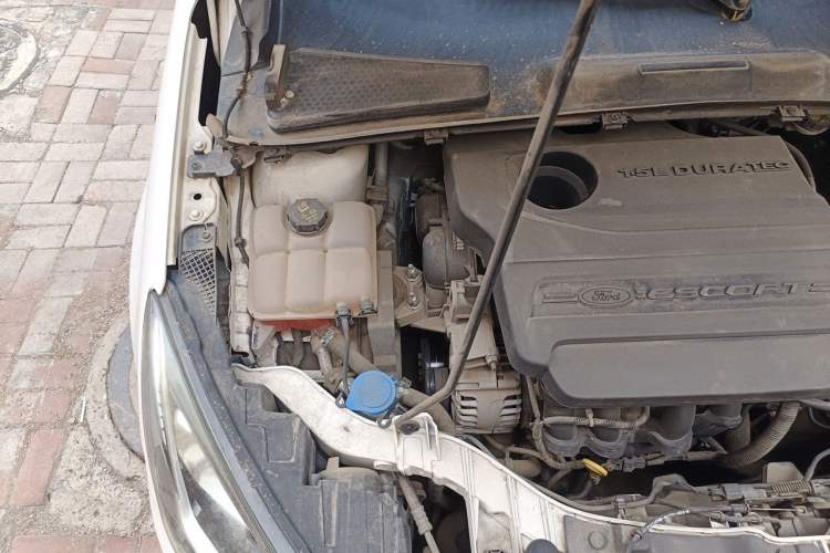 Used Ford Escort 2015 1.5L Automatic Fashion Model Engine Bay Right