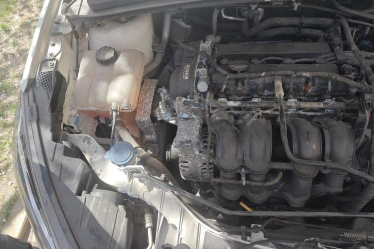 Used Ford Escort 2015 1.5L Automatic Comfort Edition Engine Bay Right
