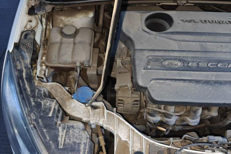 Used Ford Escort 2015 1.5L Automatic Fashion Model Engine Bay Right
