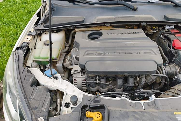 Used Ford Escort 2015 1.5L Manual Comfort Model Engine Bay Right