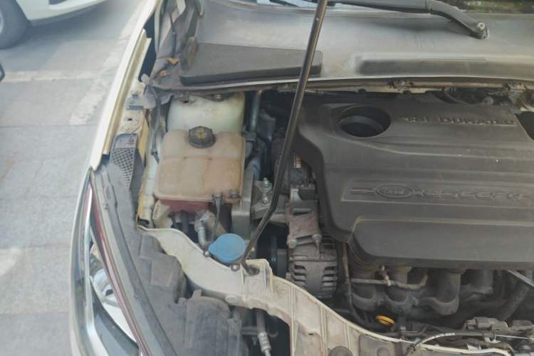 Used Ford Escort 2015 1.5L Automatic Fashion Model Engine Bay Right