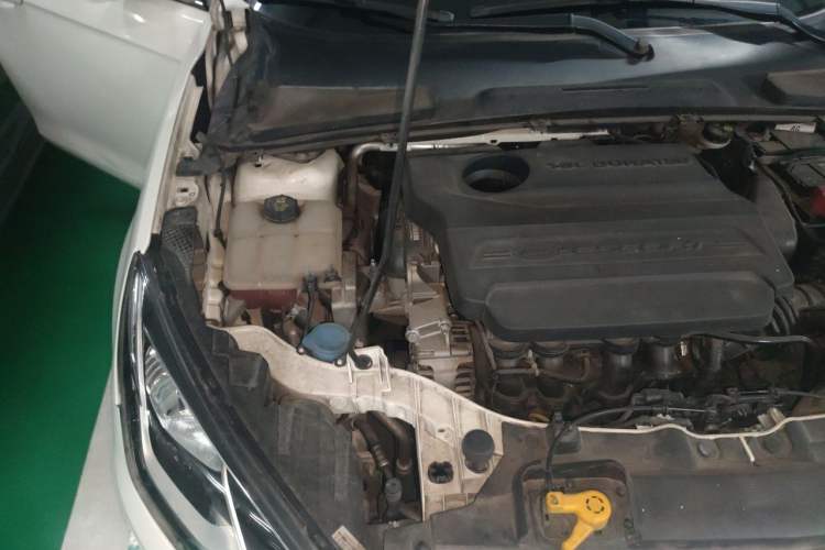 Used Ford Escort 2015 1.5L Automatic Fashion Model Engine Bay Right