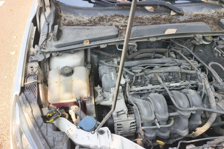 Used Ford Escort 2015 1.5L Manual Comfort Model Engine Bay Right