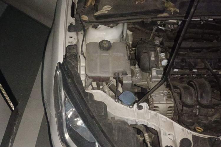 Used Ford Escort 2015 1.5L Automatic Fashion Model Engine Bay Right