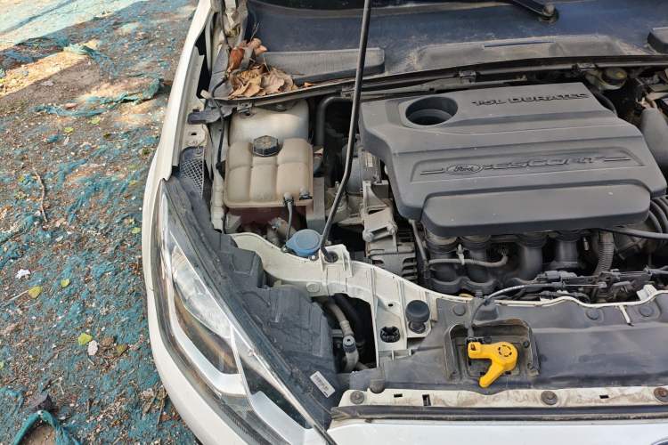 Used Ford Escort 2015 1.5L Automatic Fashion Model Engine Bay Right