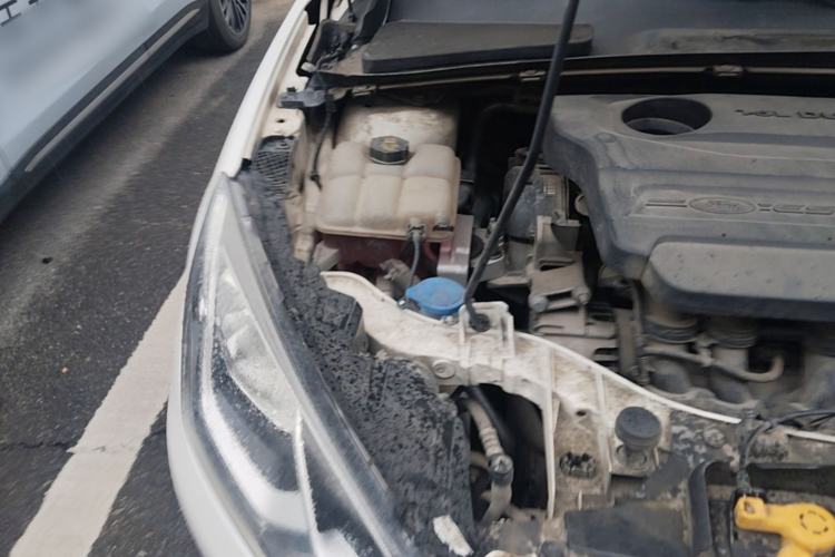 Used Ford Escort 2015 1.5L Automatic Fashion Model Engine Bay Right