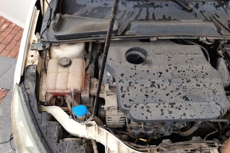 Used Ford Escort 2015 1.5L Automatic Comfort Edition Engine Bay Right