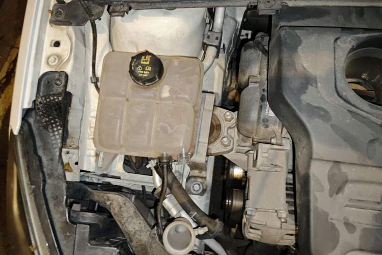 Used Ford Escort 2015 1.5L Automatic Fashion Model Engine Bay Right