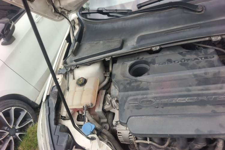 Used Ford Escort 2015 1.5L Automatic Fashion Model Engine Bay Right