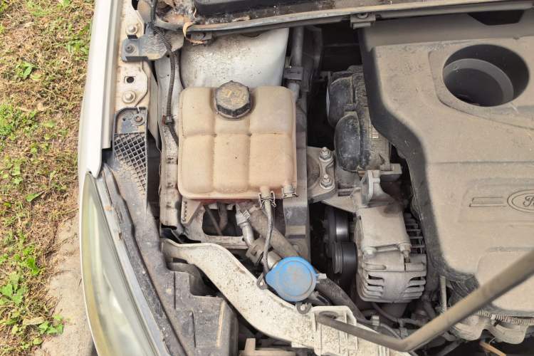 Used Ford Escort 2015 1.5L Automatic Fashion Model Engine Bay Right