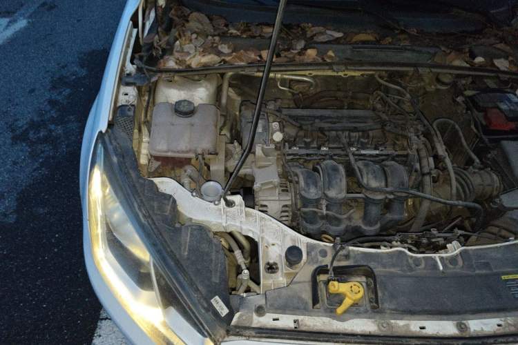 Used Ford Escort 2015 1.5L Manual Fashion Edition Engine Bay Right