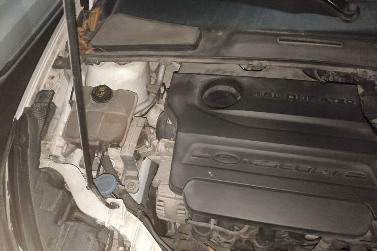 Used Ford Escort 2015 1.5L Manual Comfort Model Engine Bay Right