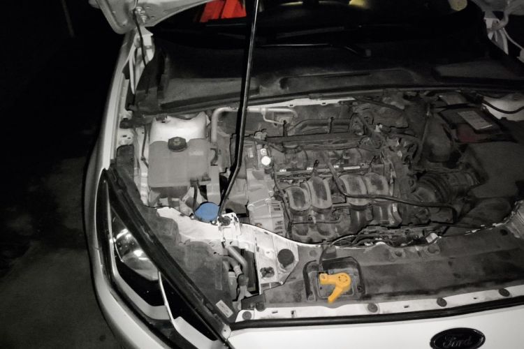 Used Ford Escort 2015 1.5L Automatic Fashion Model Engine Bay Right