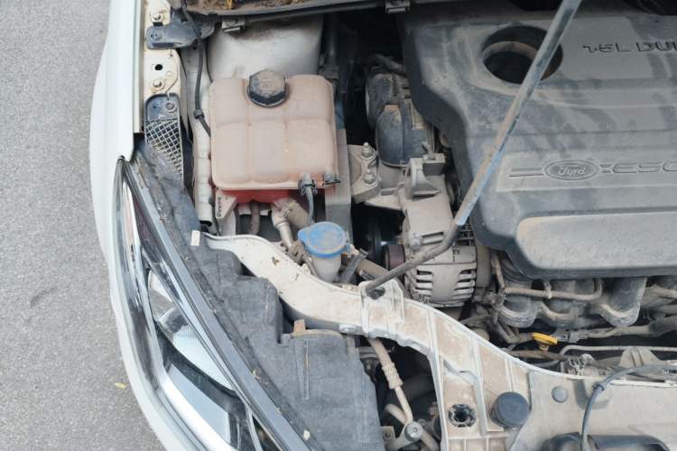Used Ford Escort 2015 1.5L Manual Fashion Edition Engine Bay Right