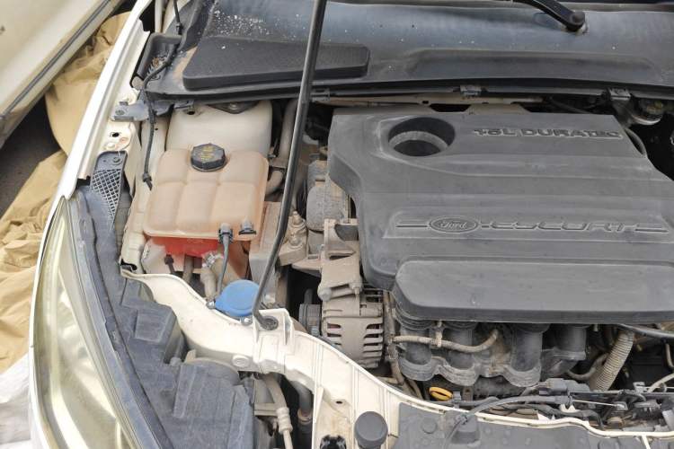 Used Ford Escort 2015 1.5L Automatic Fashion Model Engine Bay Right