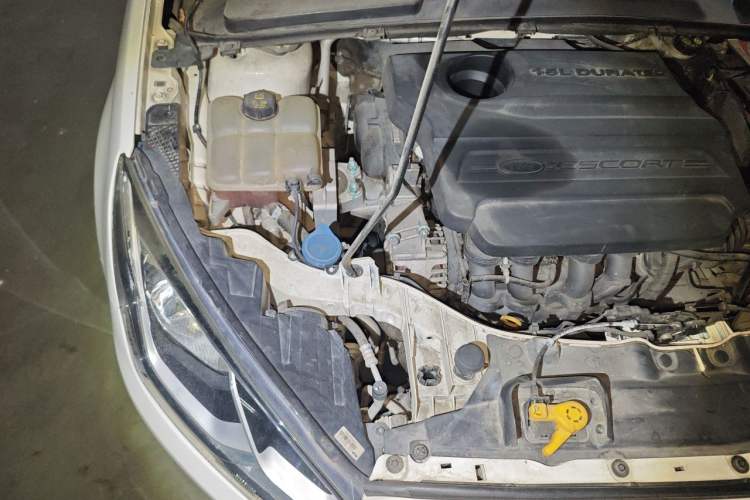 Used Ford Escort 2015 1.5L Automatic Fashion Model Engine Bay Right