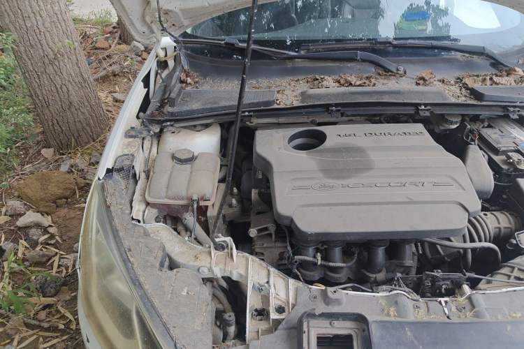 Used Ford Escort 2015 1.5L Automatic Fashion Model Engine Bay Right