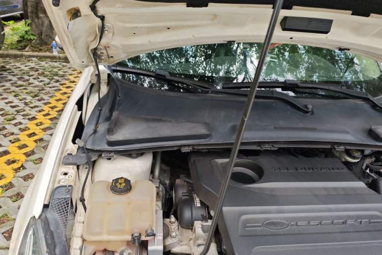 Used Ford Escort 2015 1.5L Automatic Fashion Model Engine Bay Right