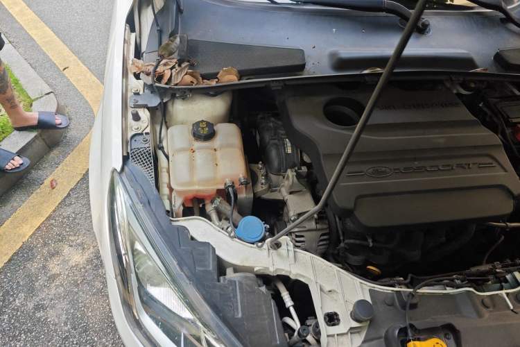 Used Ford Escort 2015 1.5L Manual Fashion Edition Engine Bay Right