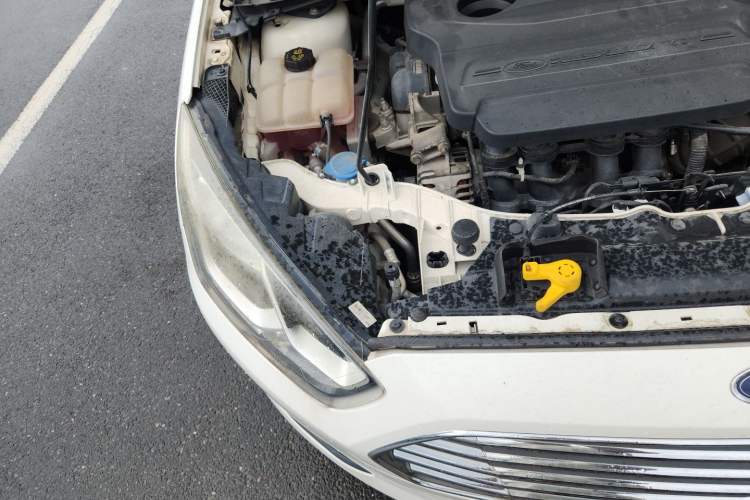 Used Ford Escort 2015 1.5L Automatic Fashion Model Engine Bay Right