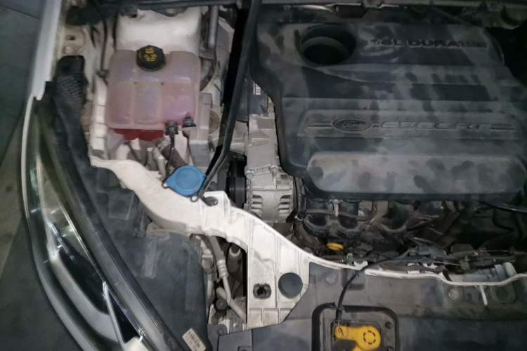 Used Ford Escort 2015 1.5L Automatic Fashion Model Engine Bay Right