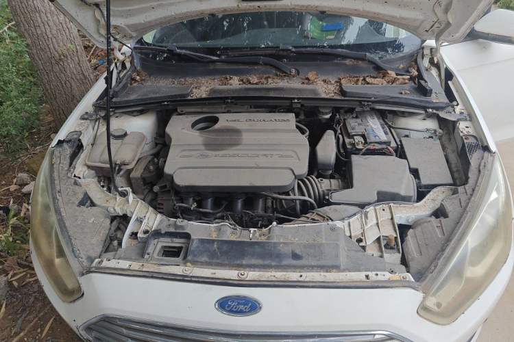 Used Ford Escort 2015 1.5L Automatic Fashion Model Engine Bay