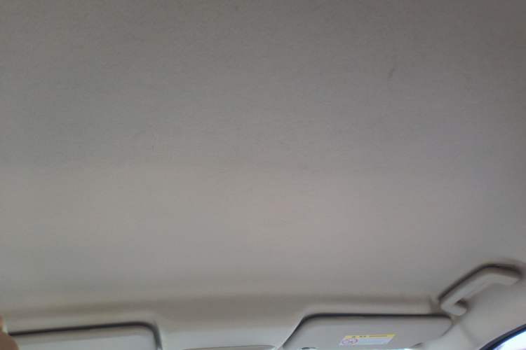 Used Ford Escort 2015 1.5L Automatic Comfort Edition Headliner