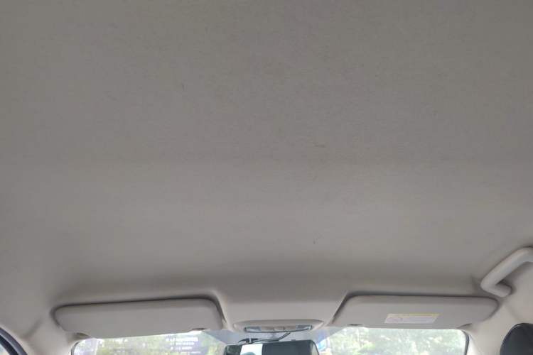 Used Ford Escort 2015 1.5L Automatic Comfort Edition Headliner