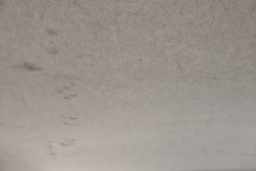 Thumbnail 19
