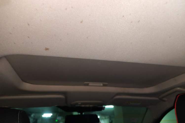 Used Ford Escort 2015 1.5L Automatic Fashion Model Headliner