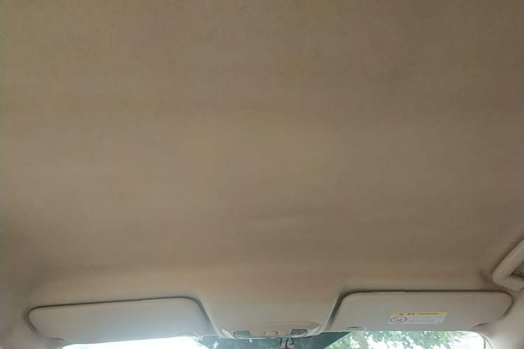 Used Ford Escort 2015 1.5L Automatic Comfort Edition Headliner