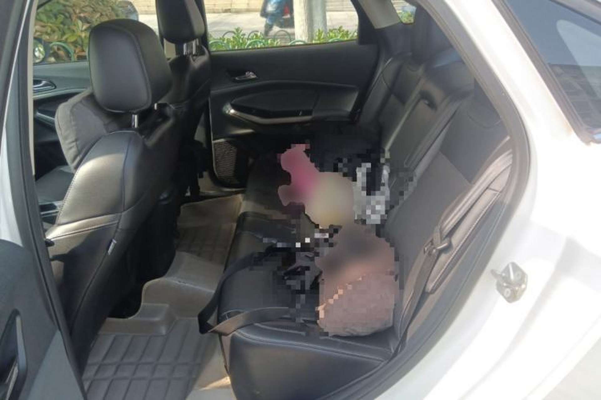 Used Ford Escort 2015 1.5L Manual Fashion Edition Left Rear Seat