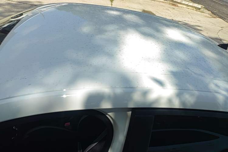 Used Ford Escort 2015 1.5L Automatic Comfort Edition Roof