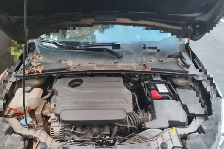 Used Ford Escort 2015 1.5L Manual Comfort Model Engine Bay